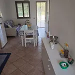 Viola